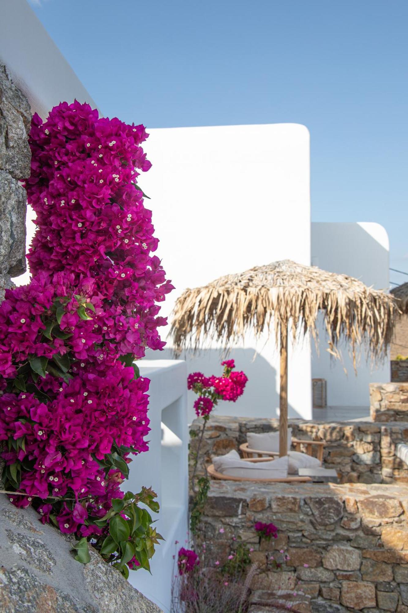 The Summit Of Mykonos Bed & Breakfast Kalo Livadi Eksteriør bilde