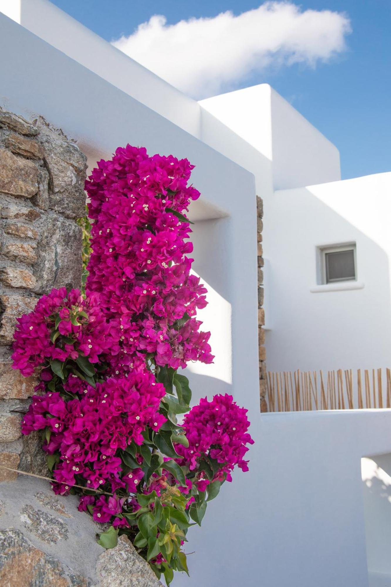 The Summit Of Mykonos Bed & Breakfast Kalo Livadi Eksteriør bilde